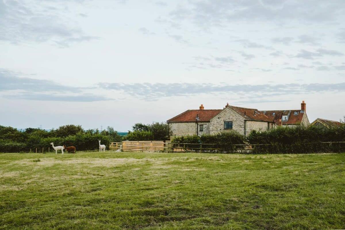 The Stable- Hopewell Villa Bristol Dış mekan fotoğraf