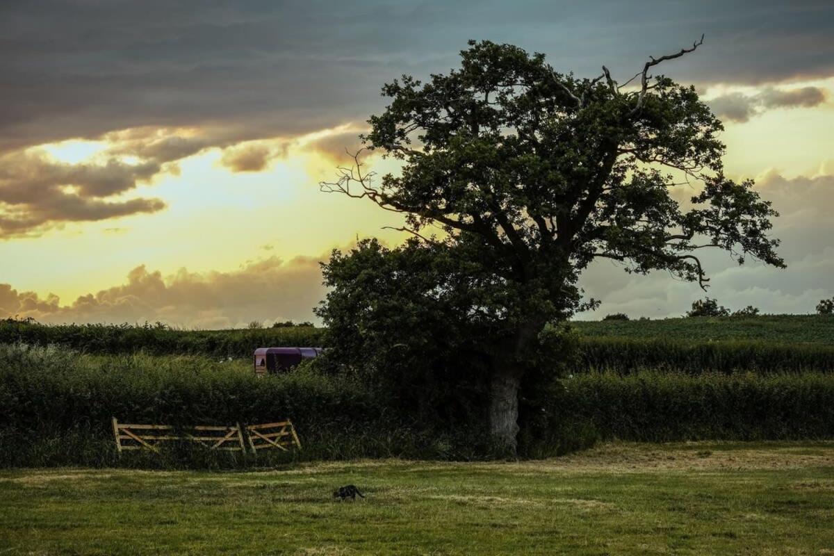 The Stable- Hopewell Villa Bristol Dış mekan fotoğraf